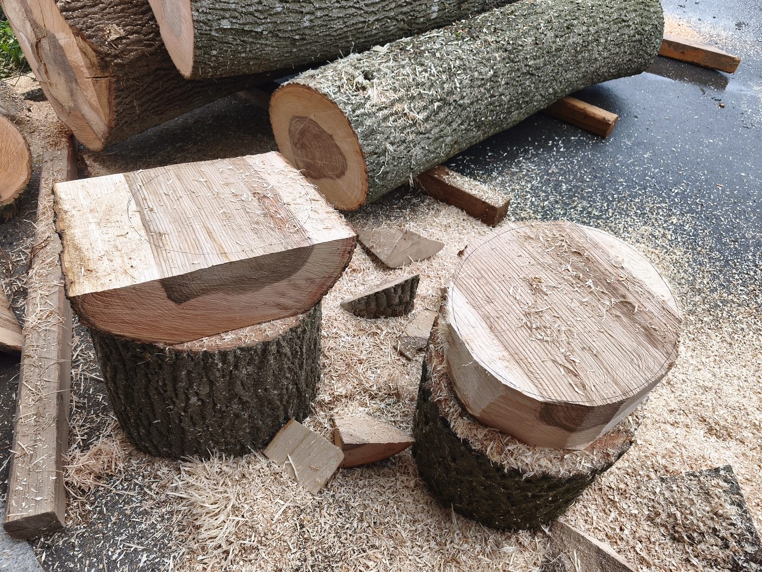 Frische Holzstämme und -scheiben